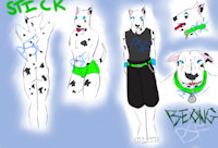 STICK : Character Sheet by powderedsugarfrost - dog, boy, male, canine, bull, man, guy, blue, eyes, spots, collar, teeth, spotted, stick, terrier, growl, bull terrier, bullterrier, masculine, collared, beong