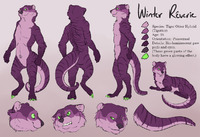 [Not My Art] - Winter Reverie's reference sheet by CrazyZomb by wingzord - male, hybrid, reference sheet, tiger, otter, sheet, reference, refsheet, totter, tigotter, artwork (digital)