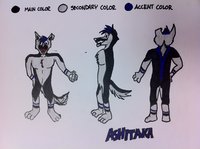 Ashitaka's Character/Reference Sheet by AshiWolf - wolf, male, blue, black, grey, character, sheet, reference