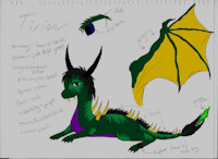 Tirion  by Whitelupa - dragon, male