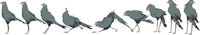 Grinoiseau by Grinny - male, bird, artwork (digital)