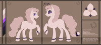 Violet Echo - pony by VioletEchoes - female, character sheet, pony, my little pony, solo female