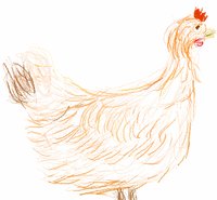 GreenReaper's cock by GreenReaper - sketch, cock, bird, orange, chicken