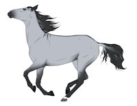 HNS Into The Woods by hikaruko - female, horse, filly, running, mule, endurance, andalusian, standardbred, criollo, grulla