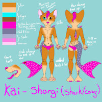 Kai reference sheet 2016 by CrystalWolfDarkness - male, hybrid, reference sheet, corgi, shark, femboy, shorgi, shargi