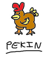 Pekin - MEGA Craft - Monster by FloppyPony - cute, small, female, male, bird, digital, avian, art, little, color, black and white, coloured, colored, colour, chicken, tiny, concept, concept art, no color, digital drawing, digitaldrawing, digitalartwork, digital artwork