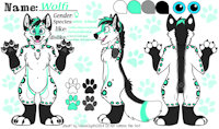 Wolfi Ref Sheet by Wolfi87 - female, snow leopard, wolf, schnolf