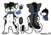 chibi ref  by nanashikun - husky, male, ref