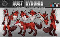Rust Byrghir Ref Sheet (CM) by Hirousan - cute, husky, wolf, feral, pup, fur, furry, character, ref, fluff, rust, hirou-san, hirousan, floff