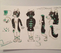 Dragon/wolf Jevpee sheet by Jevpee - reference sheet, wolf/dragon