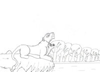 Rain and visera friends of destin by redwolf2008 - lioness, female, wolf, male, illustration