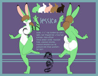 Jessica Refference by Asalis - bunny, female, rabbit, hare, refference
