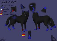 Seeker Wolf Refsheet by Husky657 - wolf, male, feral