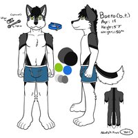 bt has a decent ref by nanashikun - husky, male