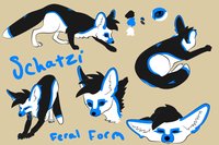 Schatzi feral ref by SiraLoba - fox, female, fennec, sheet, reference, schatzi
