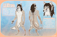 Ref Sheet Alius by AliusCorsac - fox, male, reference sheet, sheet, vulpine, reference, corsac, corsac fox