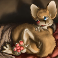 Lazy Sunday by Ausup
