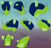 Ofelia head ref by SiraLoba - female, rat, head, reference