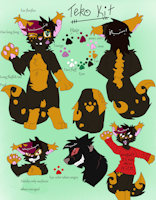 Teko Reference  by DukenTails - cat, female, cuteness