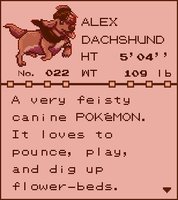 If I was in Pokémon Red.... by WienerDogWorks