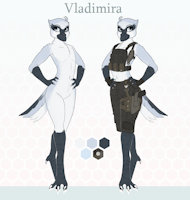 Vladimira Ref Sheet by Yarik by Veprem - female, bird, avian, ref sheet, reference, flat chest, flat chested