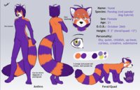 Yume ref sheet 2.0 by Pandog - dog, female, red panda, hybrid, purple, orange, yume, pandog
