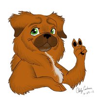 Chew the Pekingese by ChewPekingese - dog, female, peace, sign, chew, pekingese