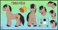 Fruitsallad the Pony by Rufus5 - male, reference sheet, stallion, pony, ref, my little pony, mlp, earth pony, pony oc, fruitsallad
