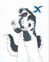 X De la Luna The Yin Yang Flame by Rumble - wolf, male, moon, the, land, black, white, clan, character, sheet, traditional, flames, prince, 6th, sixth, elizaqwa