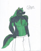 Calhoun De la Luna by Rumble - wolf, male, moon, green, character sheet, the, of, in, line, prince, traditional art, lands, 8th, elizaqwa