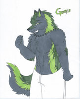Gears De la Luna The Mad one by Rumble - wolf, male, moon, character sheet, the, royal, of, family, mad, one, prince, traditional art, lands, 9th, elizaqwa
