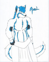 Axel De la Luna by Rumble - wolf, male, moon, character sheet, the, of, prince, axel, lands, 11th, elizaqwa