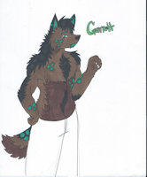 Garrett De la Luna by Rumble - wolf, male, moon, character sheet, the, of, luna, de, prince, lands, la, 16th, garrett