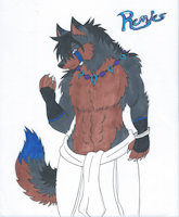 Remies De la Luna by Rumble - comic, wolf, male, moon, character sheet, the, blue, of, traditional, prince, lands, \, 17th, elizaqwa