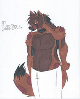 Lucien De la Luna by Rumble - wolf, male, moon, character sheet, the, of, luna, de, prince, lands, bloodline, la, 23rd, moonlands