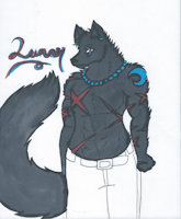 Lunar De la Luna by Rumble - wolf, male, moon, character sheet, the, royal, of, luna, de, prince, triplets, lands, bloodline, la, 24th, moonlands