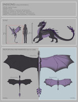 Endsong Character Reference by Drakkonim - dragon, female, fantasy, species, size comparison, shape shifting, sightlore