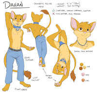 Dahan character sheet by dahan - cat, feline, male, underwear, jeans, nipples, collar, shirtless, bellybutton, bell collar, belly glimpse, belly peek