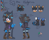 SJ Reference by SJTheHedgie - male, hedgehog, hermaphrodite, sonic, sonic the hedgehog, sonic fan character, long eared hedgehog, sonic nextgen, sonic next gen