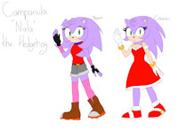 Campanula by Chinry - female, hedgehog, sonic the hedgehog, sonic oc