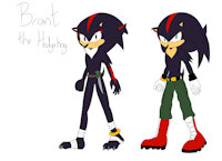 Brant the Hedgehog by Chinry - male, feral, hedgehog, sonic, m, mobian, shadow the hedgehog, shadamy, sonic oc, war torn