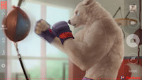 Lush Puppies - Lug at training by Anhes