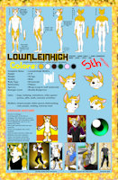 5th Version of my Lownleinhigh's Updated Character Reference by Lownleinhigh - wolf, male, corgi, reference, version, 5th, update, mixbreed, charater, worgi, lownleihigh