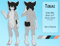 Tobias Inglov by DjijeyHellfire - fox, cat, male, hybrid, reference sheet, cattox