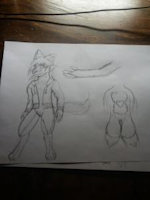 Jin by foxboi - fox, male, hybrid, skunk, ref, sfw
