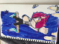 Richard Oswald by Mayi - hedgehog, acrobatics, sonic fan characters, sonic oc, acrobatic, acrobat, hedgehog's