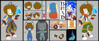 Reference BradTHfireght by BradTHfireght - gay, reference sheet, fancharacter, hedeghog, sonicfancharacters