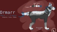 Ormarr by Sayleus53 - dragon, male, character sheet, character, arctic dragon, snow dragon