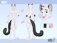 Moz - Ref sheet by Mozyz - cat, male, reference sheet, ref, reference, refsheet