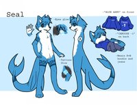 Seal ref sheet by crunchbite21 - male, reference sheet, sheet, ref, seal, fish dog, 9aia